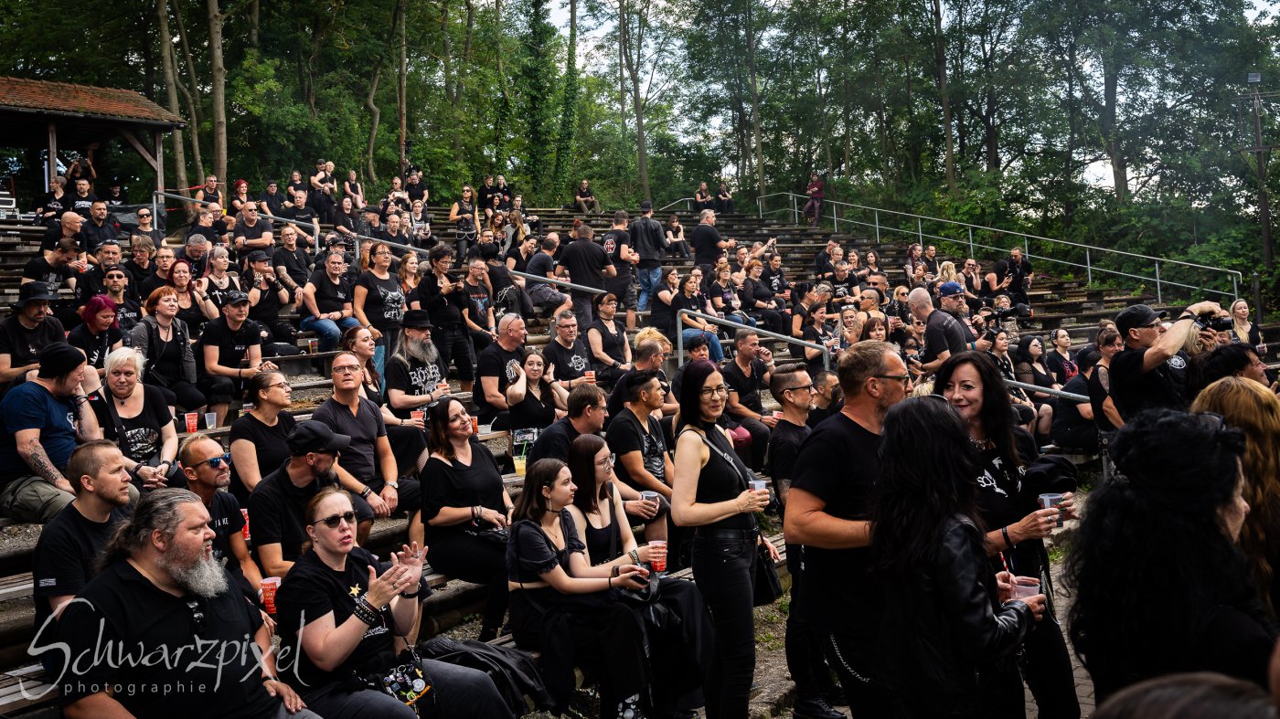 Black Lower Castle Festival 2024