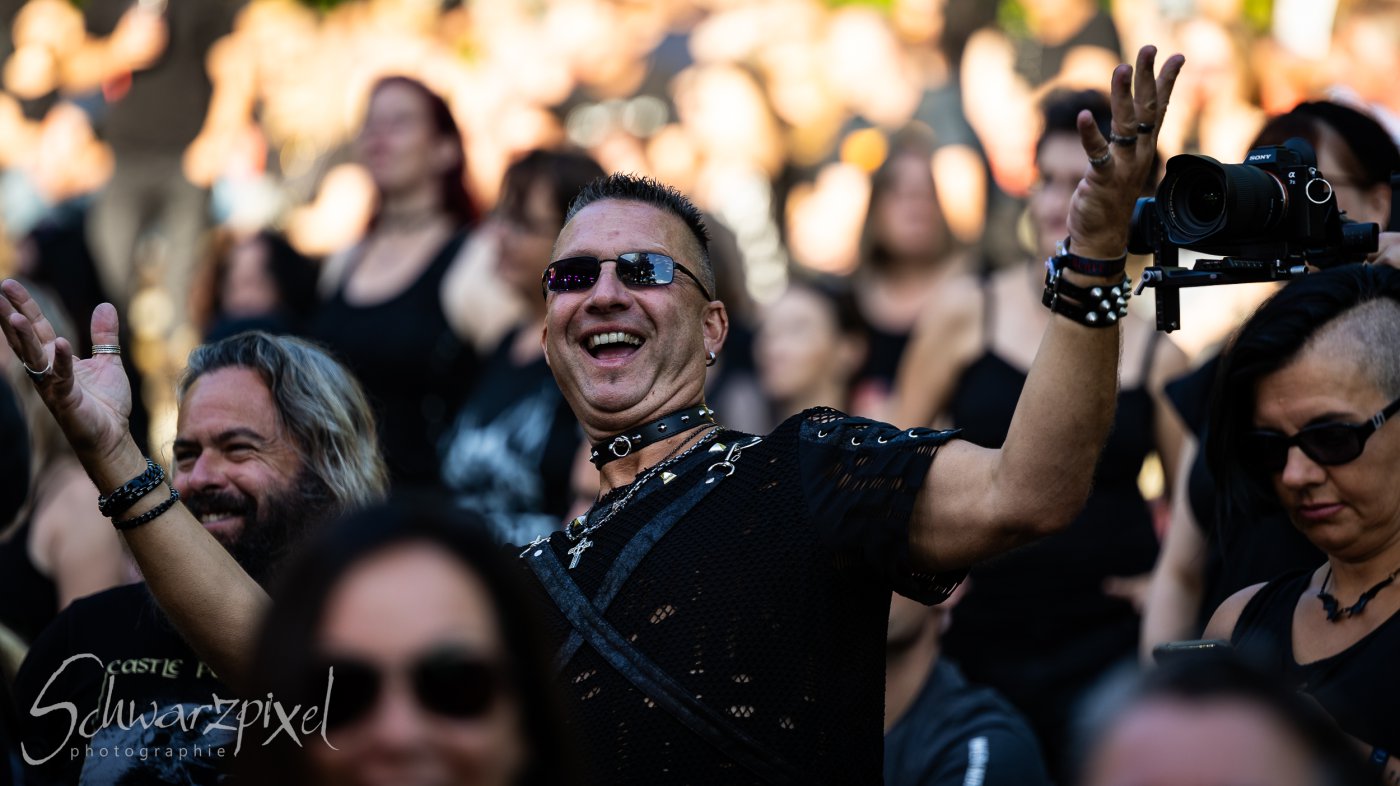Black Lower Castle Festival 2024