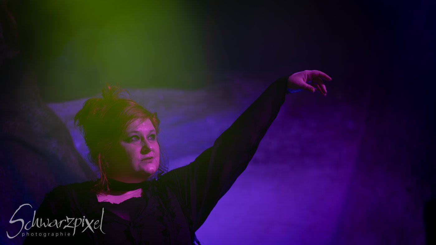 L'Ame Immortelle - Ungelebte Leben Tour 2024