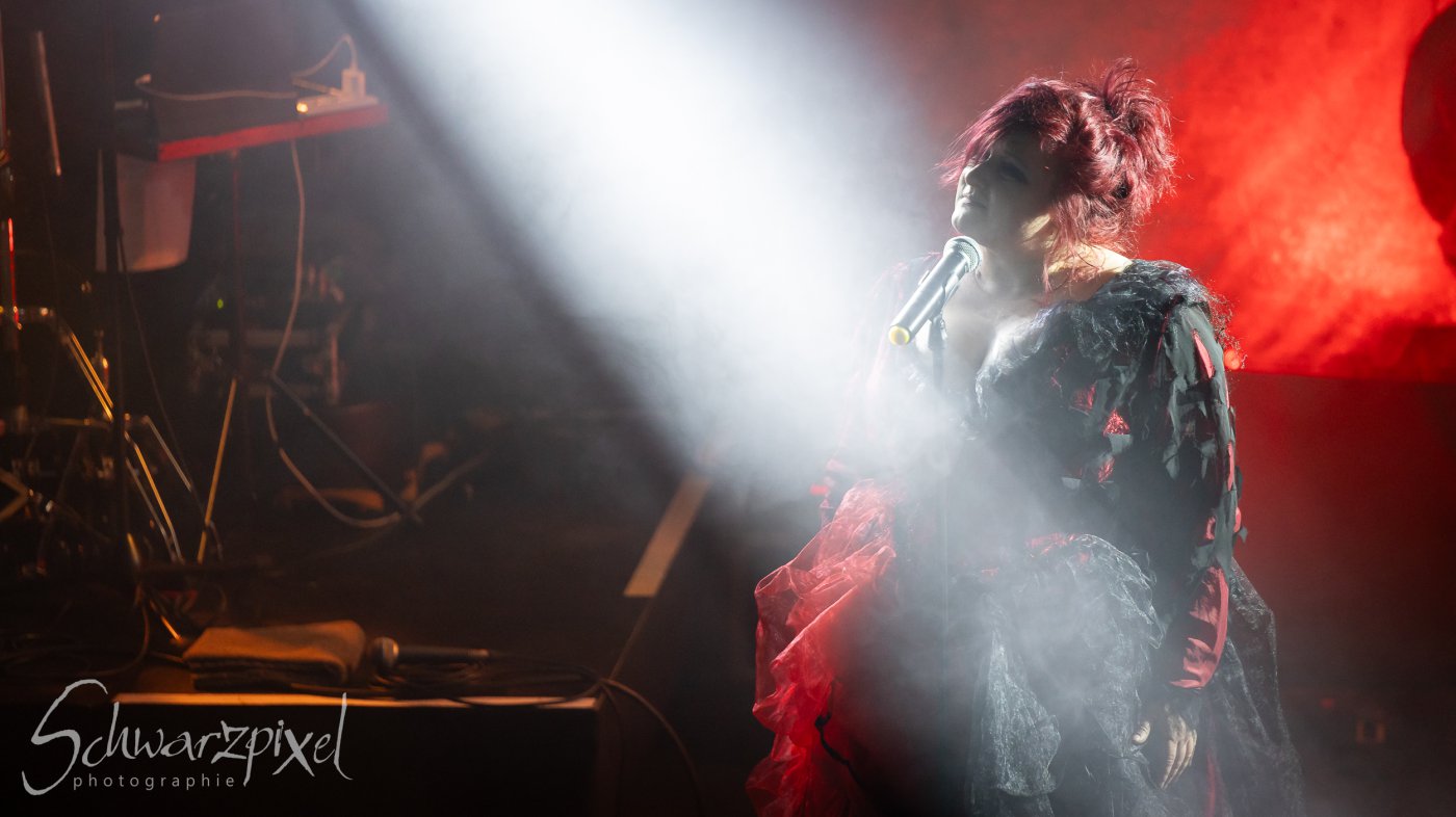 L'Ame Immortelle - Ungelebte Leben Tour 2024