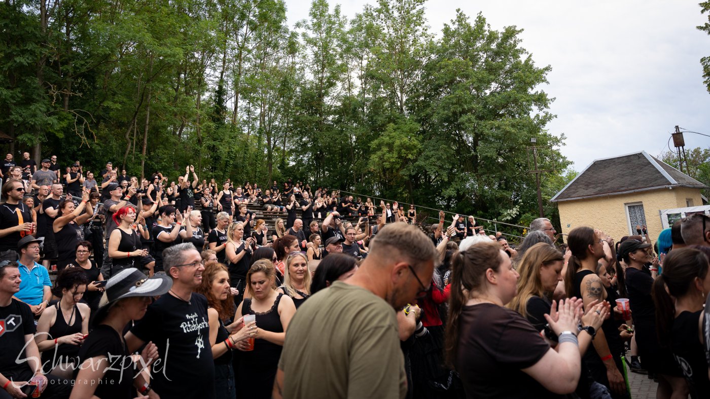 Black Lower Castle Festival 2023