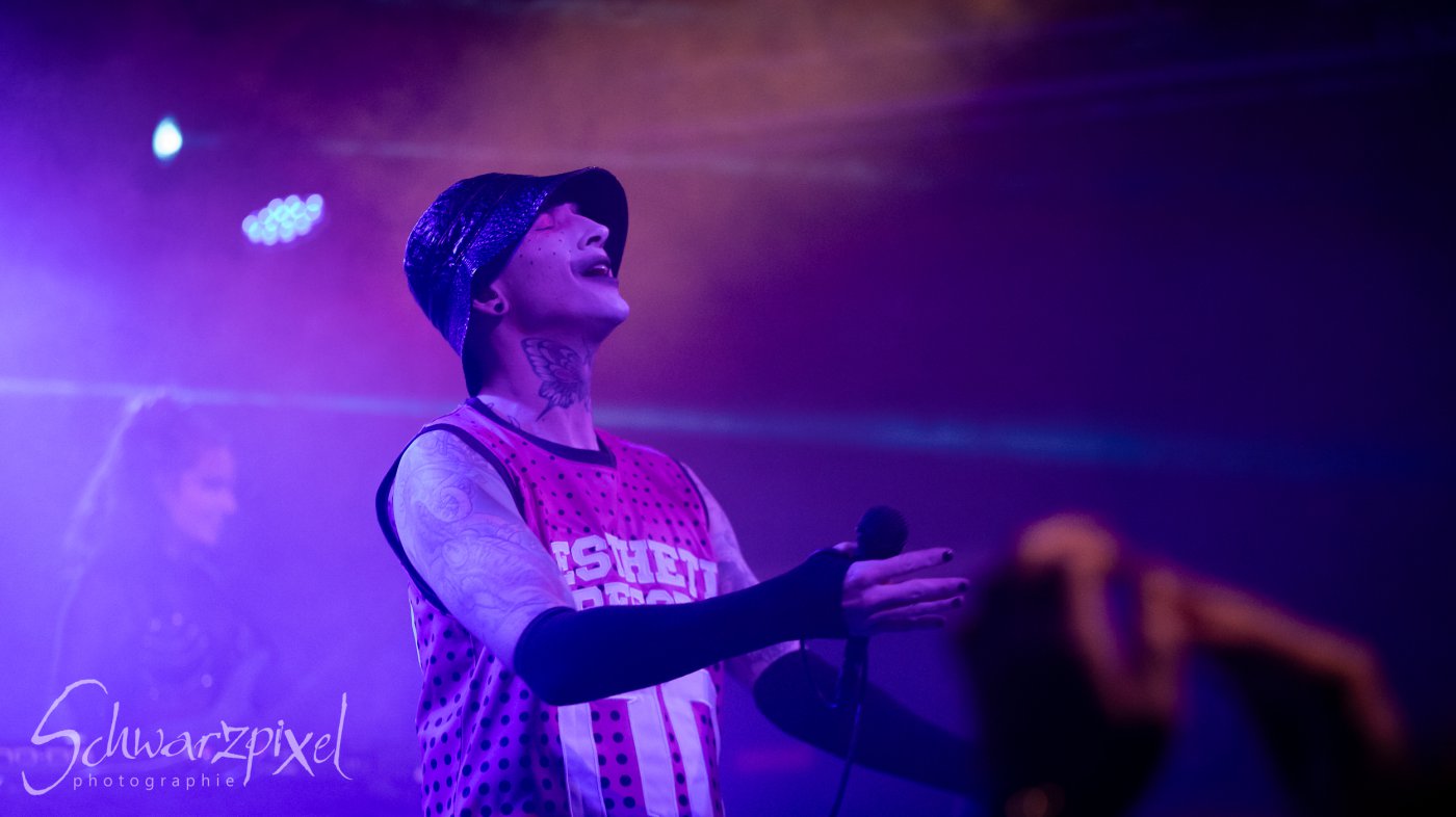 AESTHETIC PERFECTION Winter Goth Tour 2023