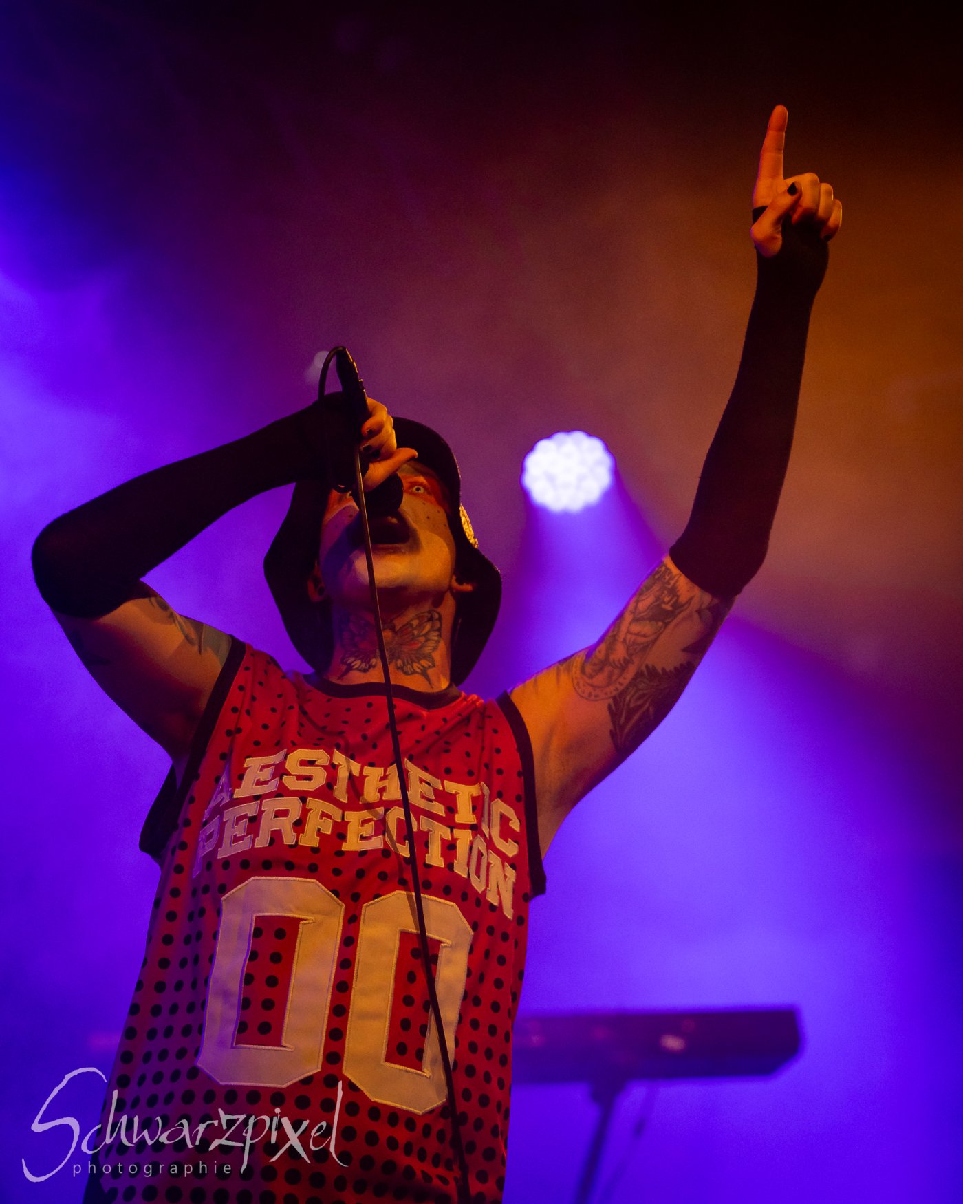 AESTHETIC PERFECTION Winter Goth Tour 2023