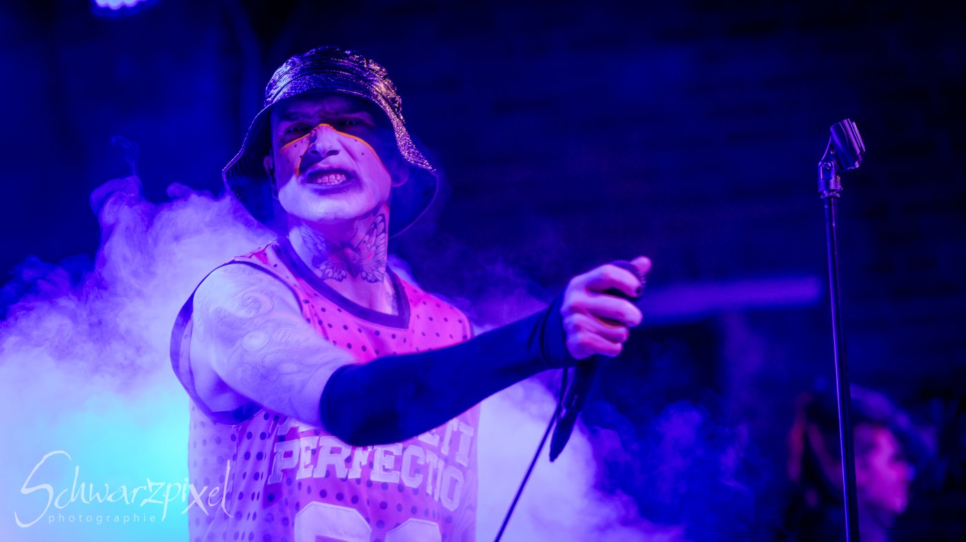 AESTHETIC PERFECTION Winter Goth Tour 2023