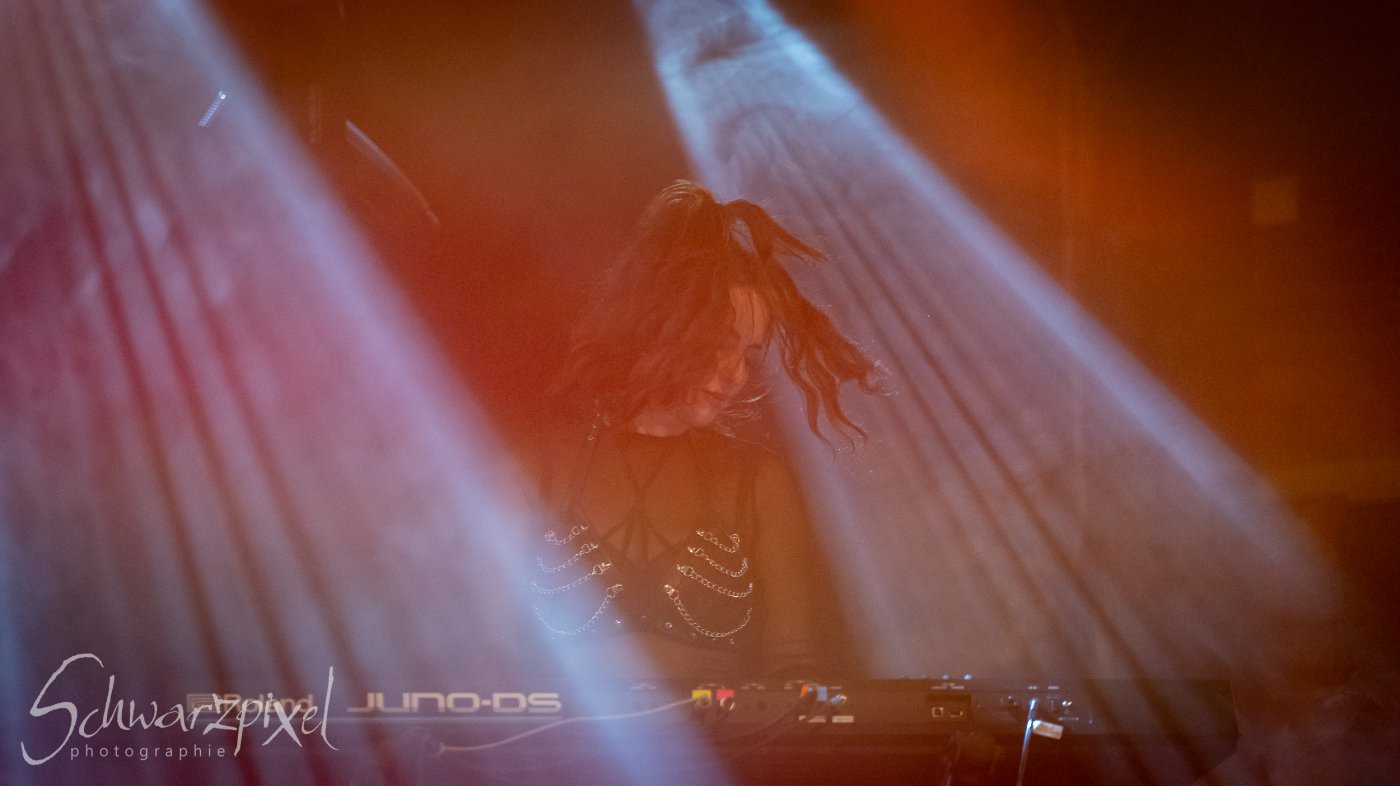 AESTHETIC PERFECTION Winter Goth Tour 2023