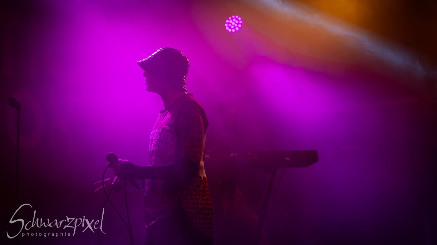 AESTHETIC PERFECTION Winter Goth Tour 2023