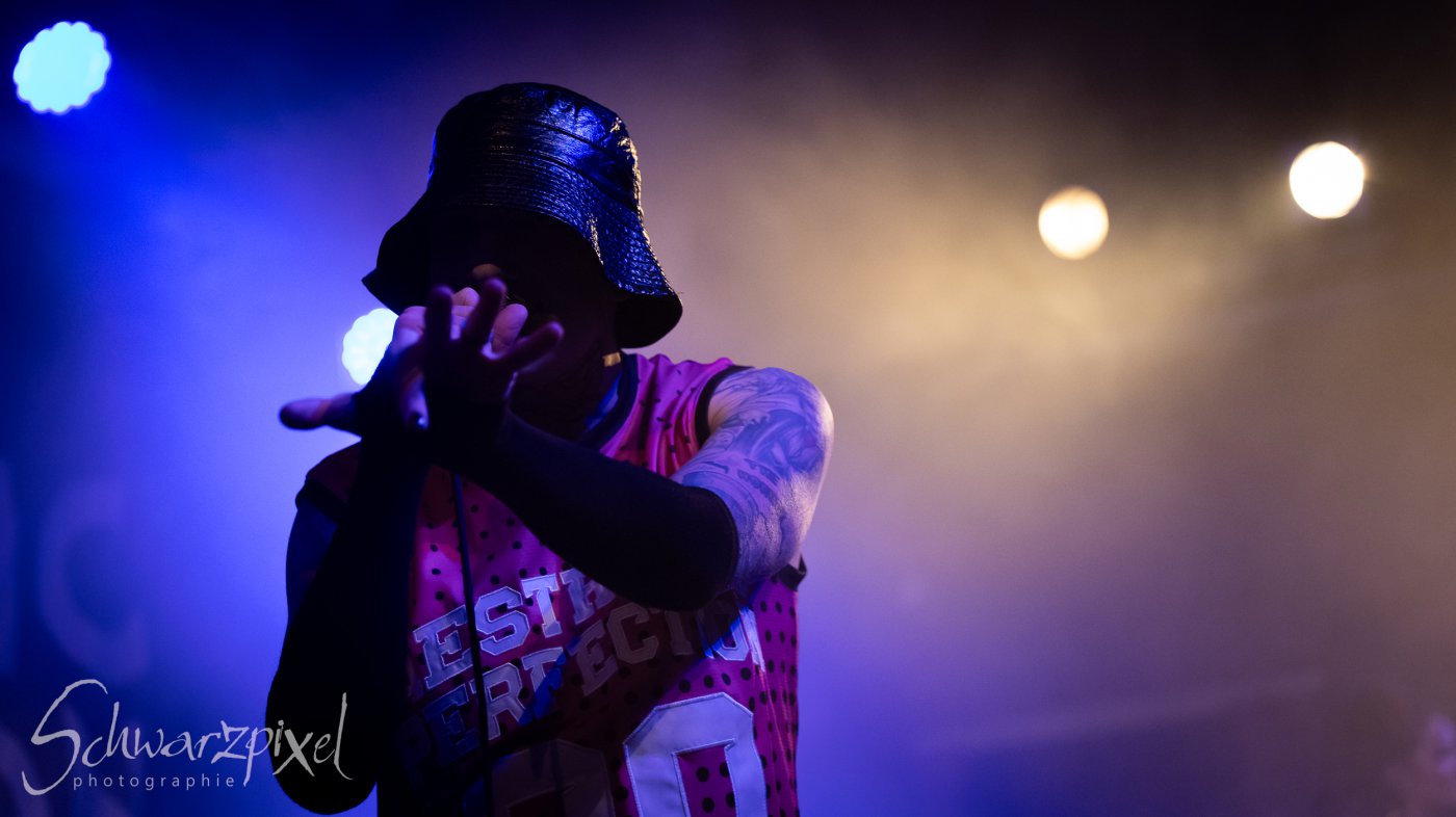 AESTHETIC PERFECTION Winter Goth Tour 2023