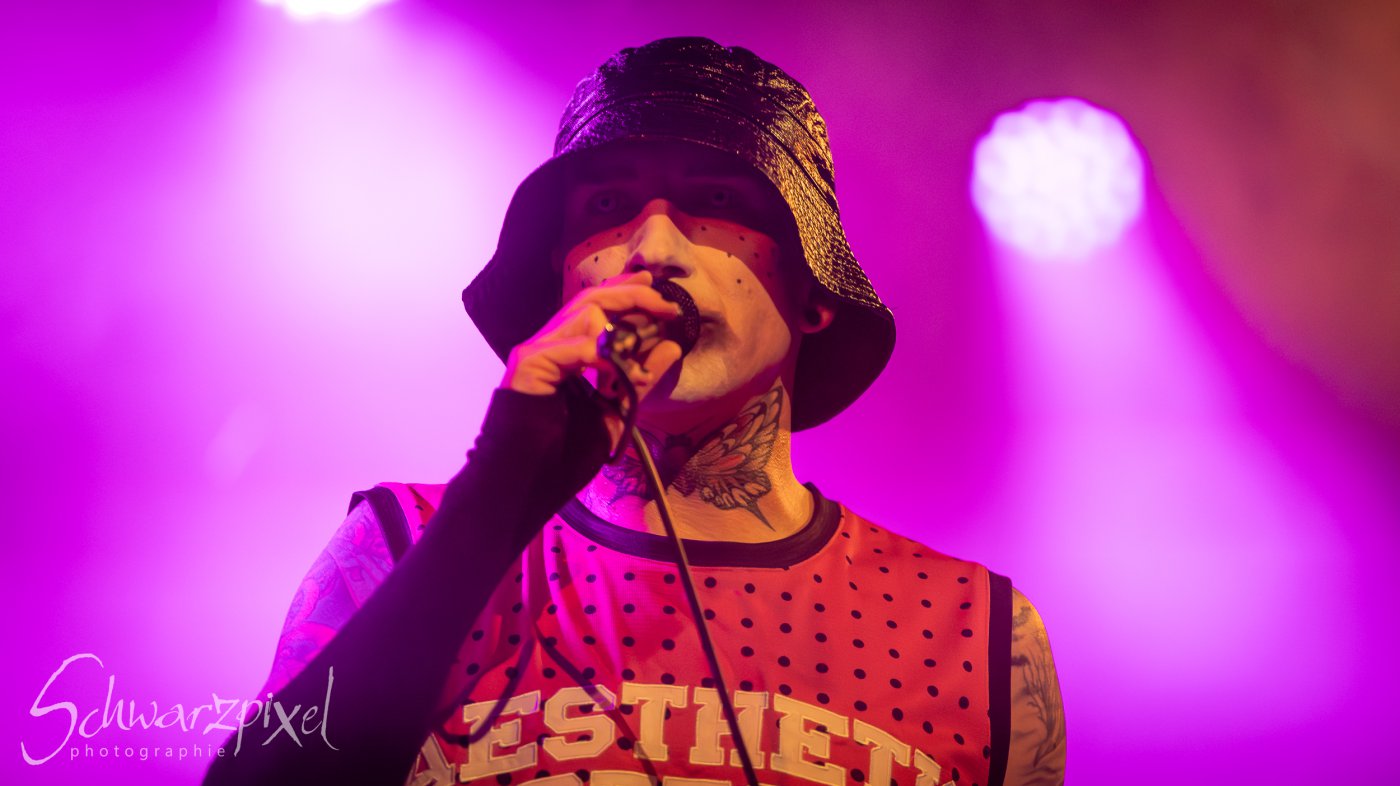 AESTHETIC PERFECTION Winter Goth Tour 2023