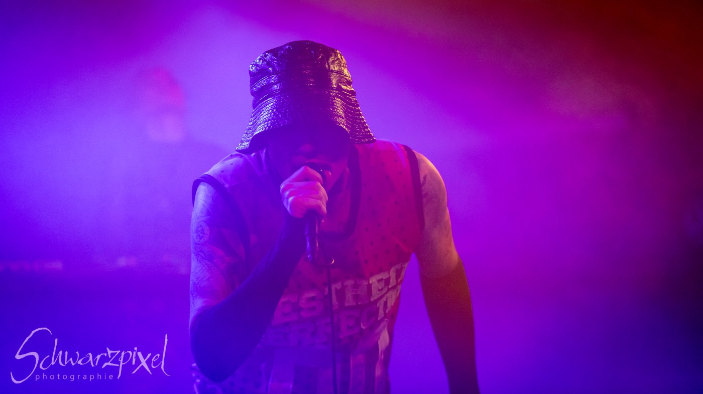 AESTHETIC PERFECTION Winter Goth Tour 2023