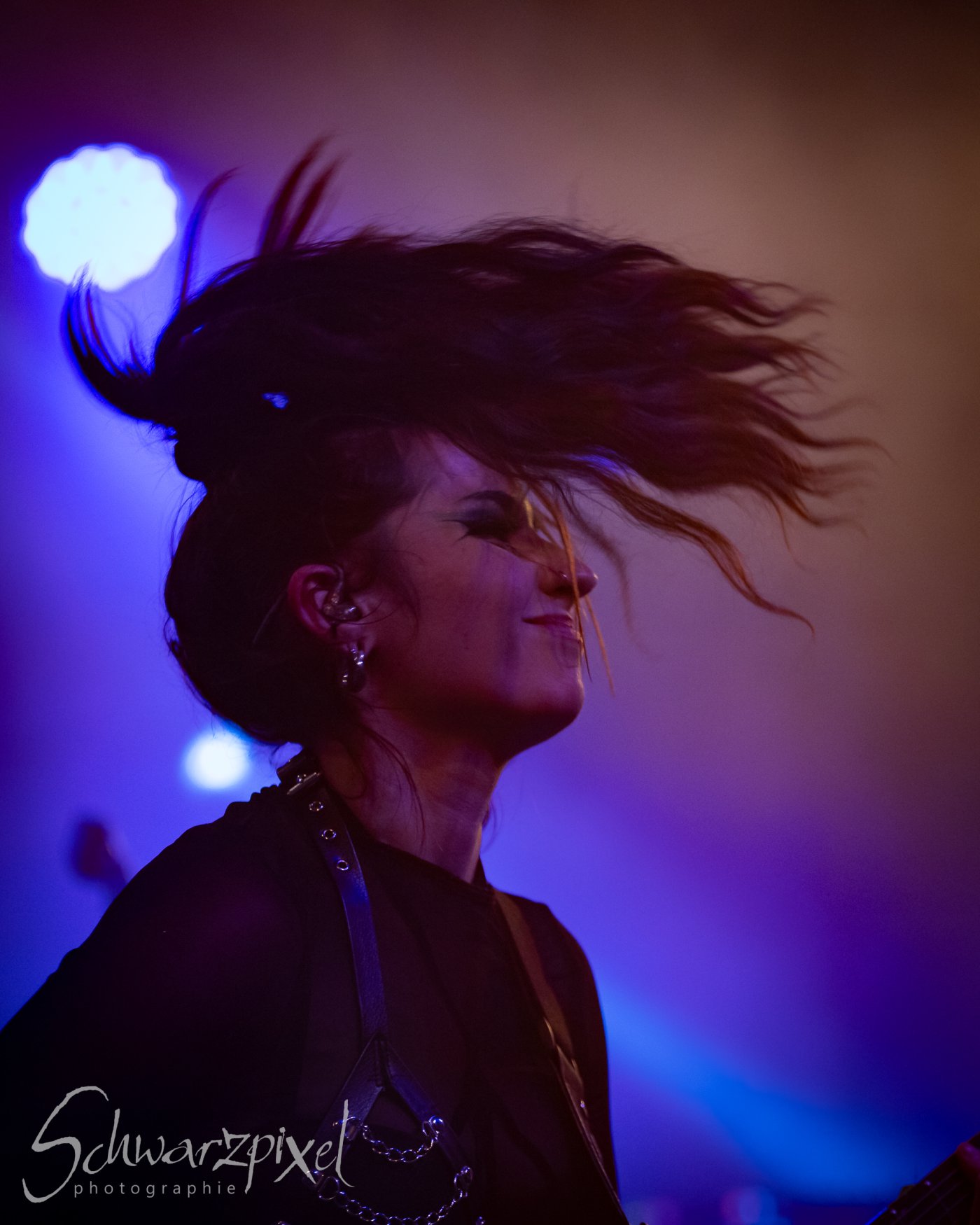 AESTHETIC PERFECTION Winter Goth Tour 2023