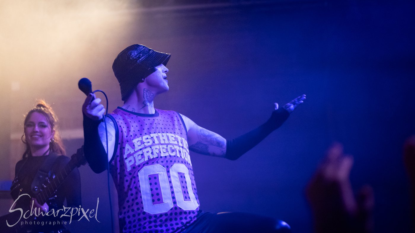 AESTHETIC PERFECTION Winter Goth Tour 2023