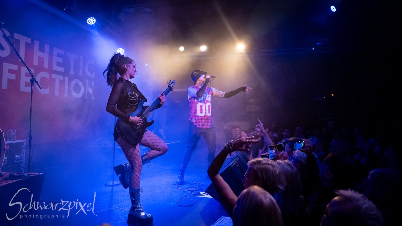 AESTHETIC PERFECTION Winter Goth Tour 2023