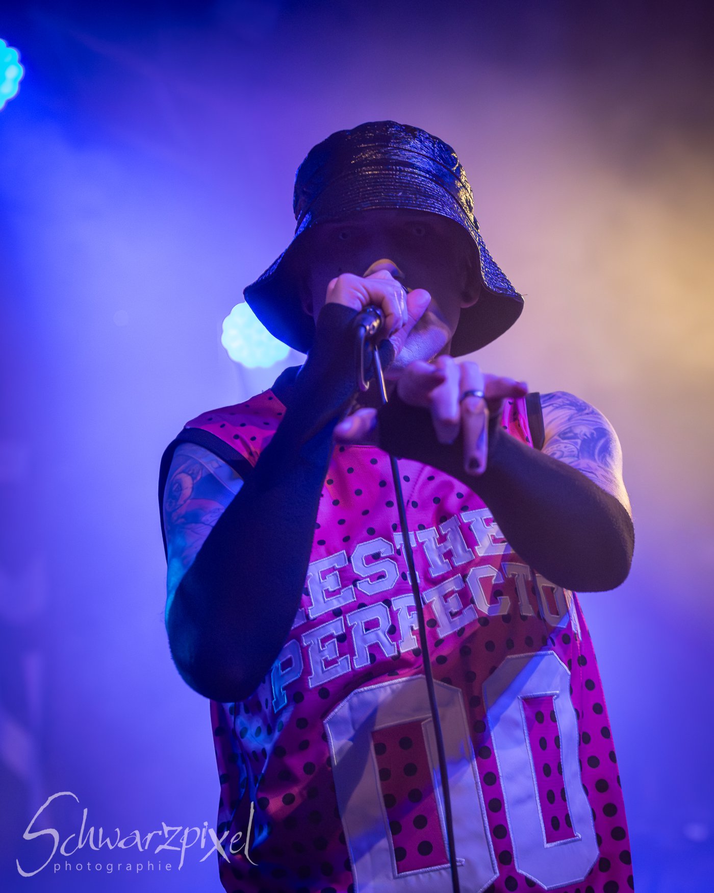 AESTHETIC PERFECTION Winter Goth Tour 2023