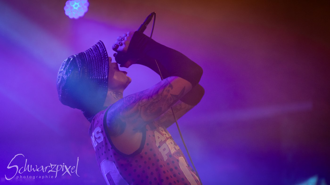 AESTHETIC PERFECTION Winter Goth Tour 2023