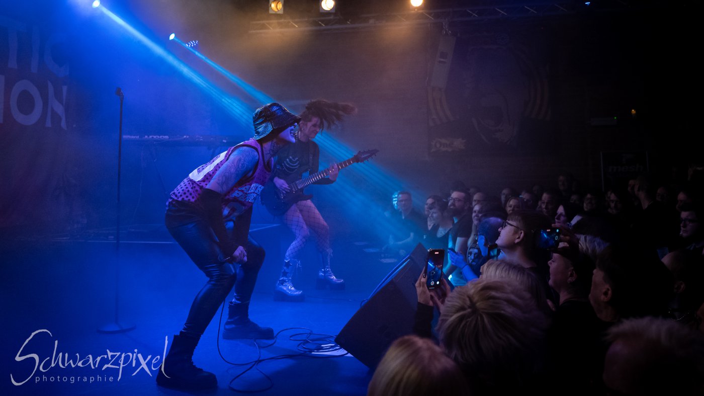 AESTHETIC PERFECTION Winter Goth Tour 2023