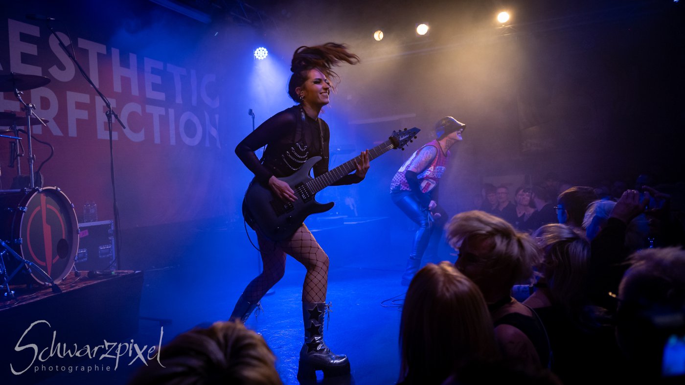 AESTHETIC PERFECTION Winter Goth Tour 2023