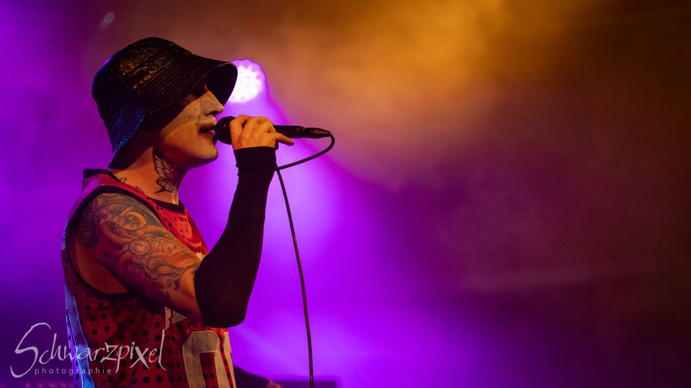 AESTHETIC PERFECTION Winter Goth Tour 2023