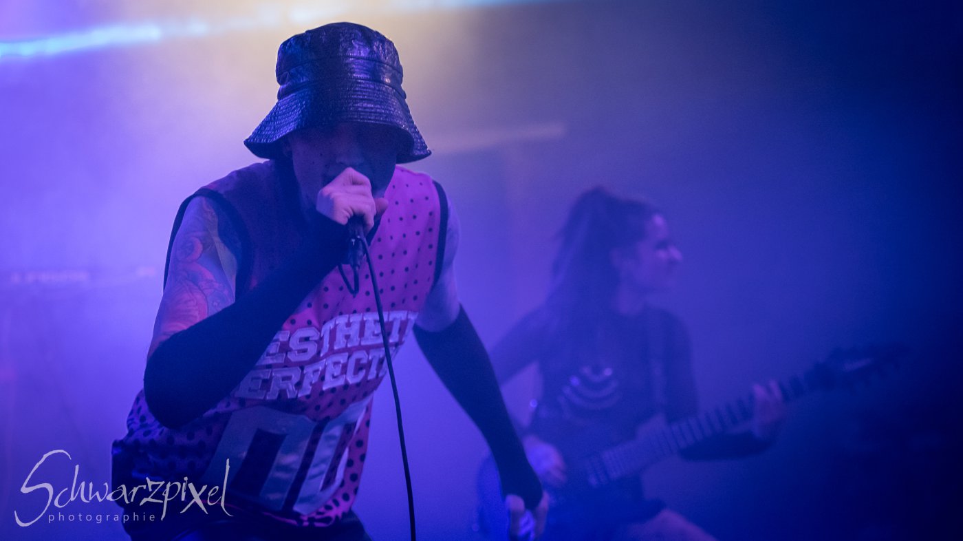 AESTHETIC PERFECTION Winter Goth Tour 2023