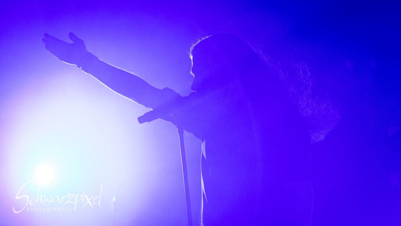 Diary of Dreams Tour 2023