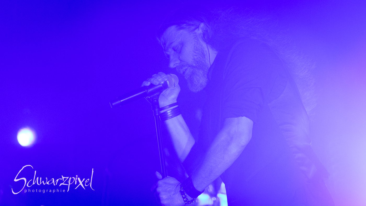 Diary of Dreams Tour 2023