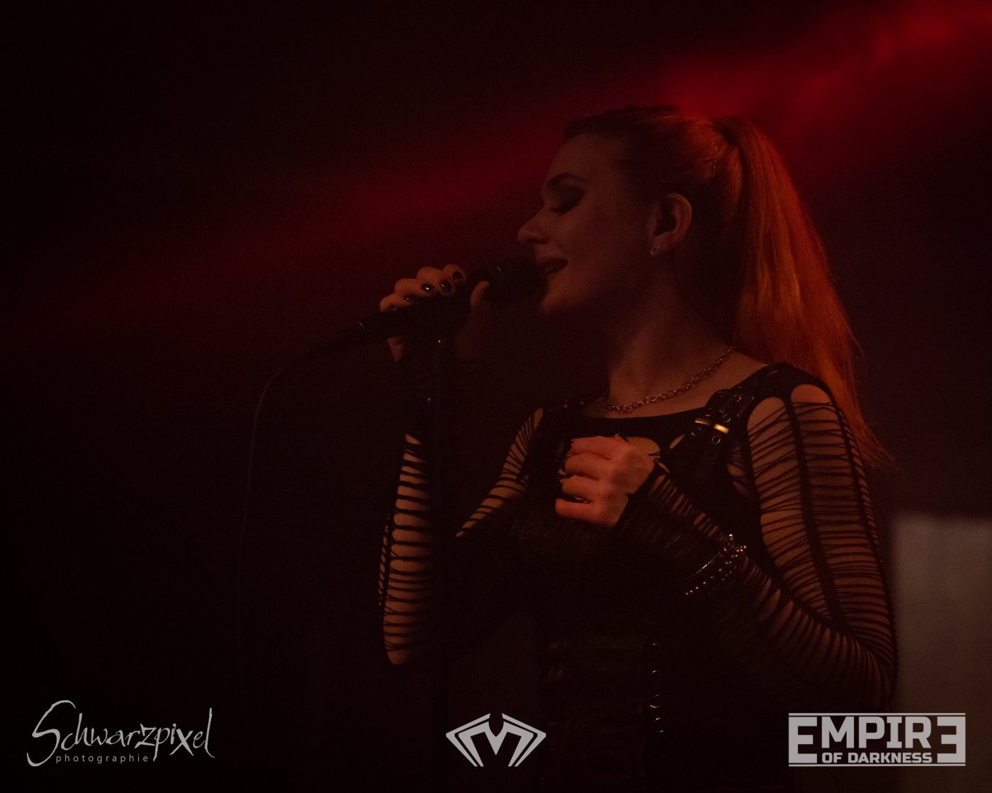 23 Jahre Empire of Darkness