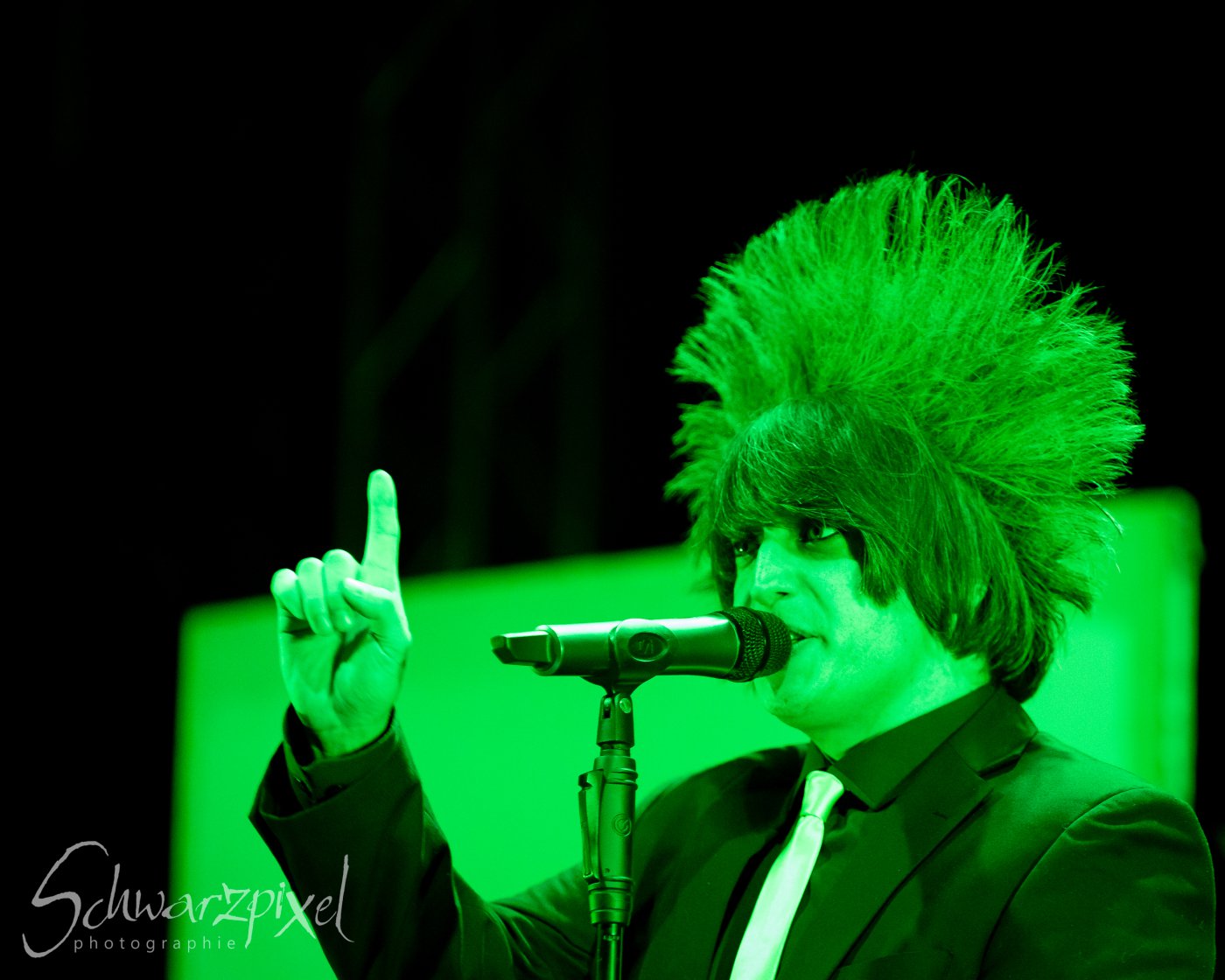 30 Jahre Welle:Erdball