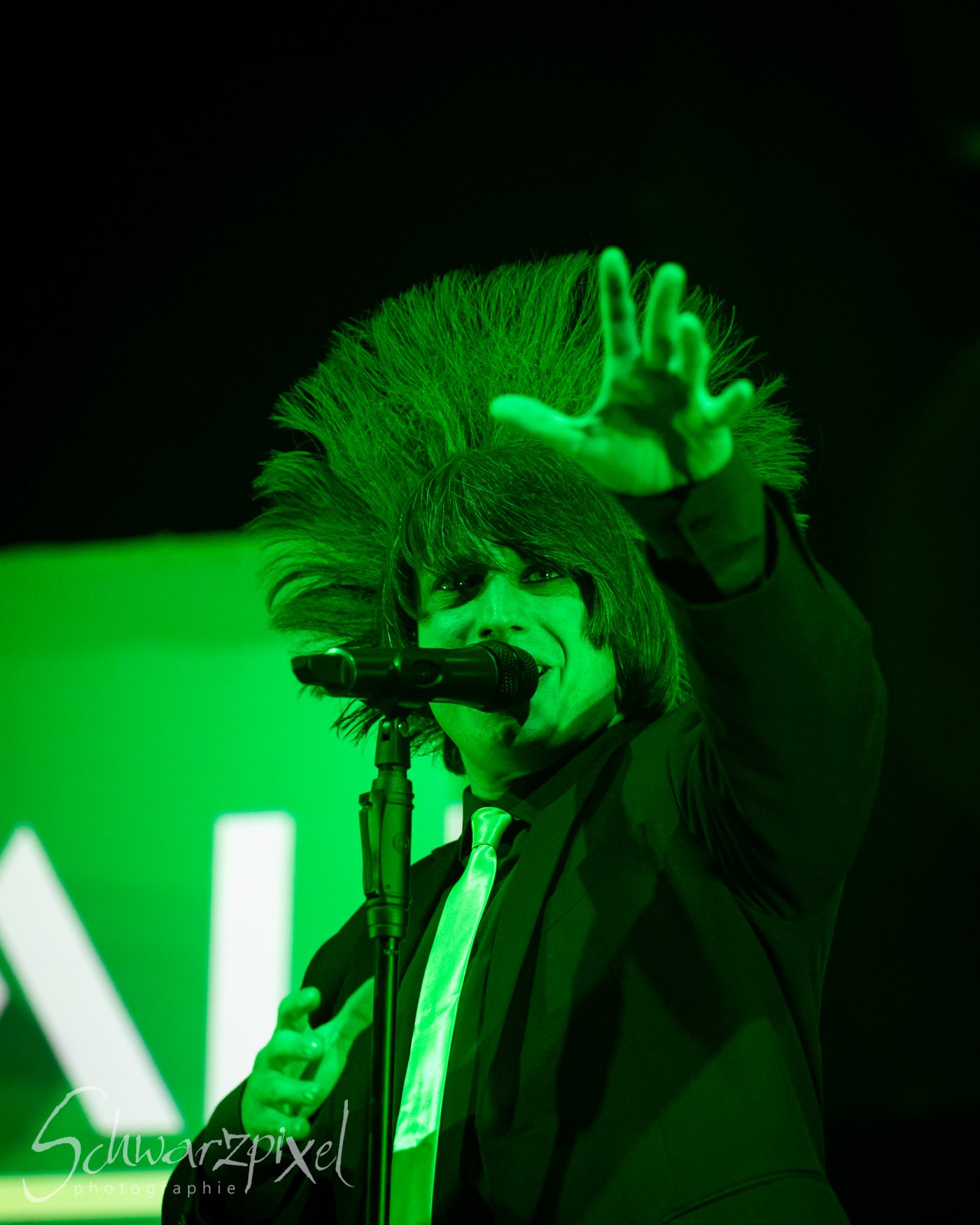 30 Jahre Welle:Erdball