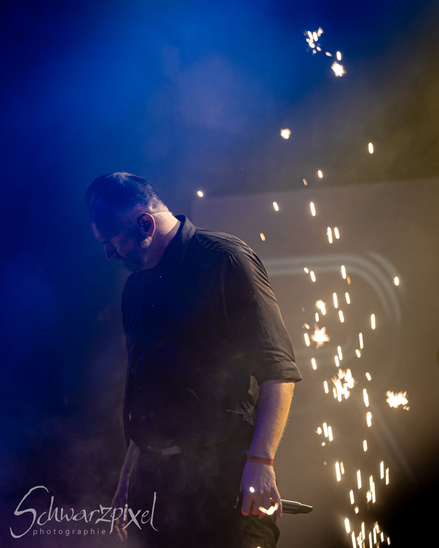 30 Jahre Welle:Erdball