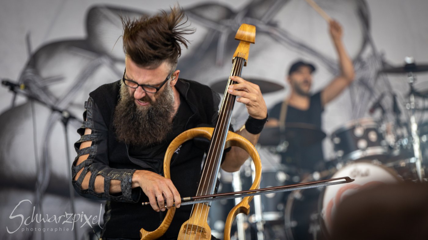 AMPHI FESTIVAL 2022