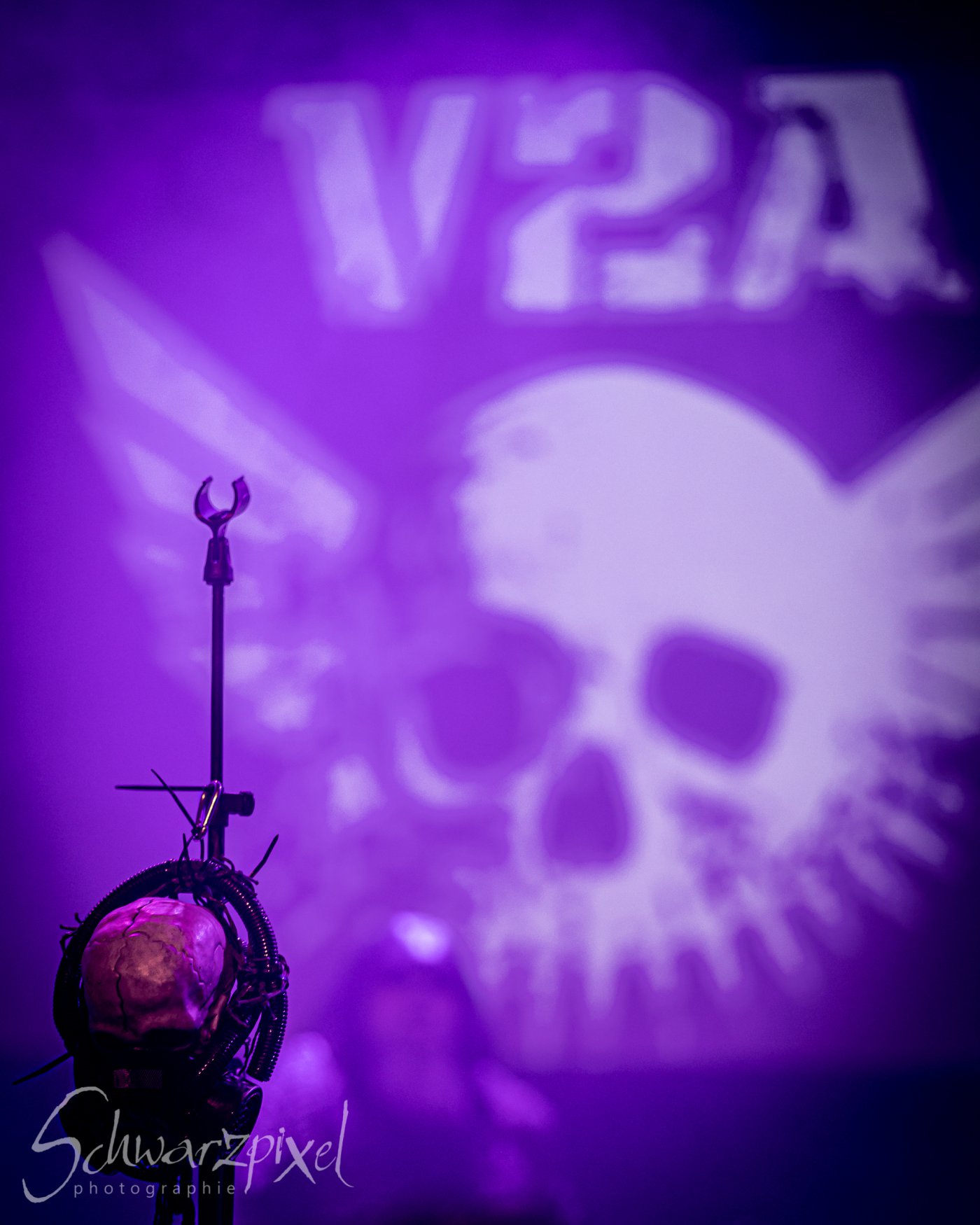 AMPHI FESTIVAL 2022