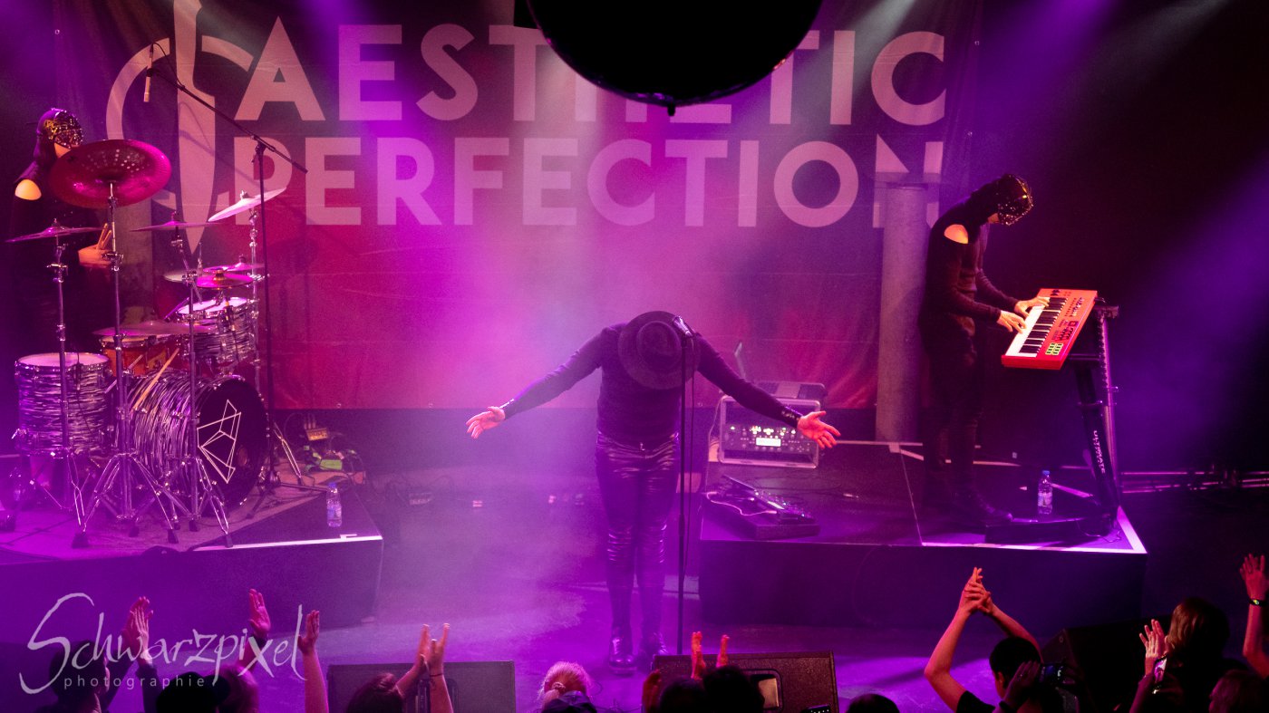 AESTHETIC PERFECTION 2022