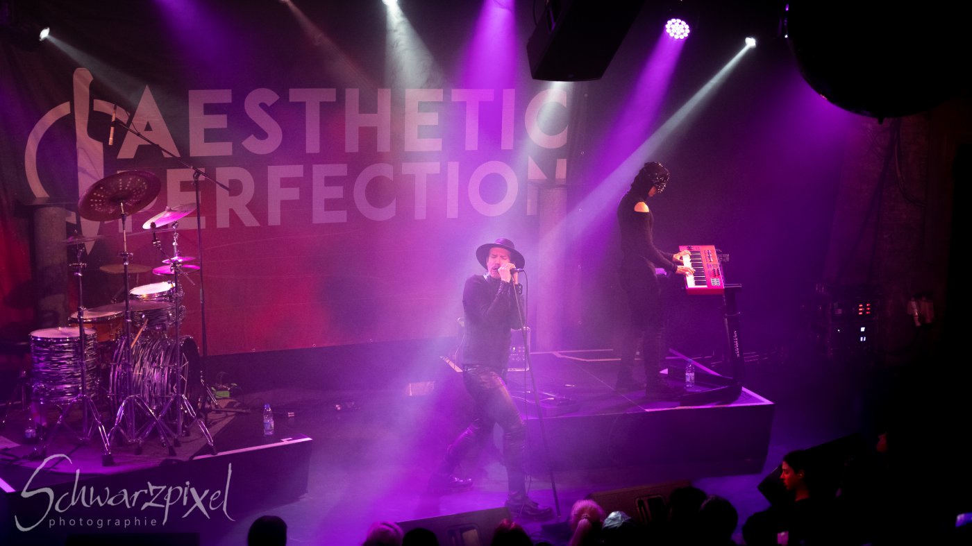 AESTHETIC PERFECTION 2022