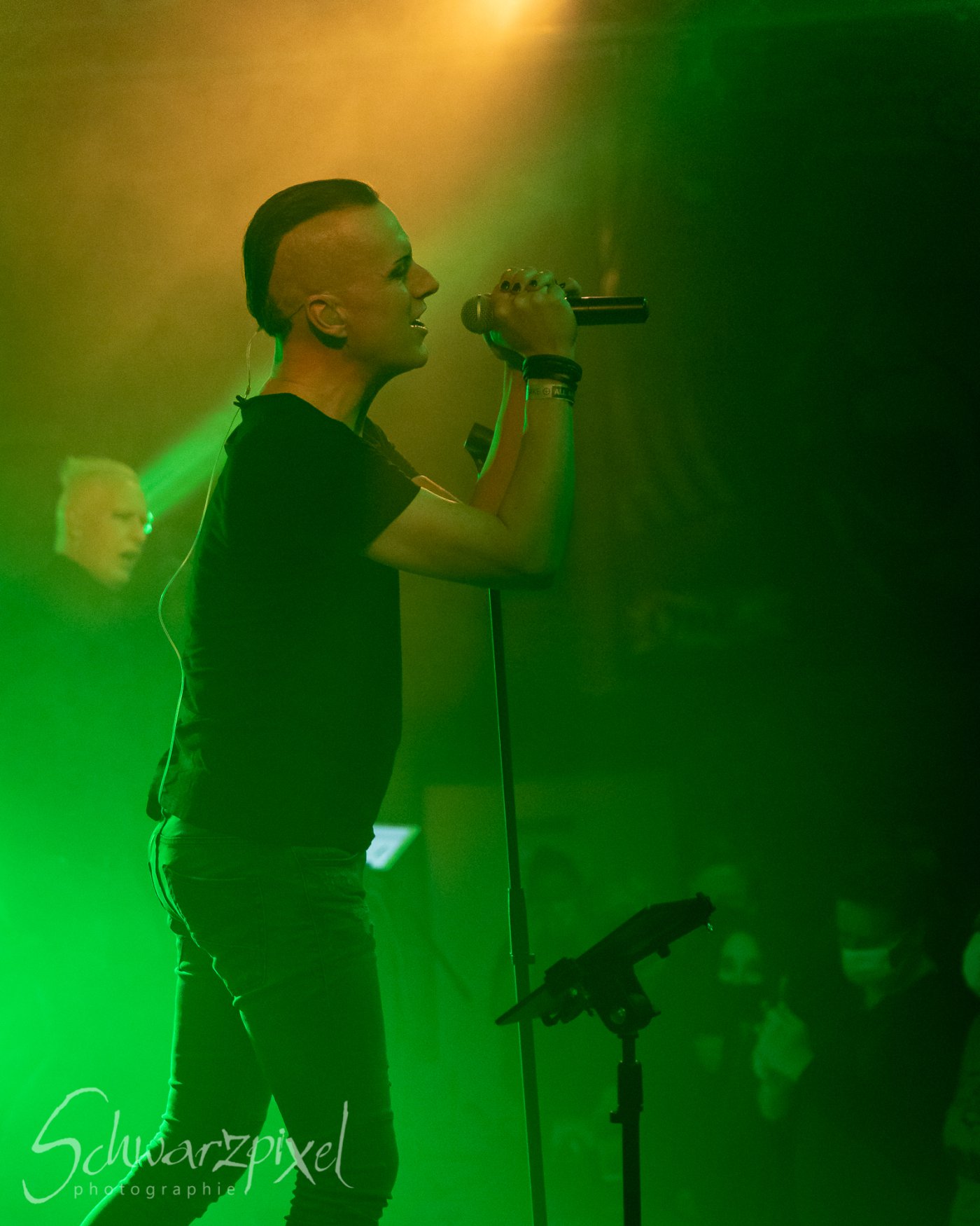 SOLAR FAKE – 1 NIGHT // 2 SHOWS 2021