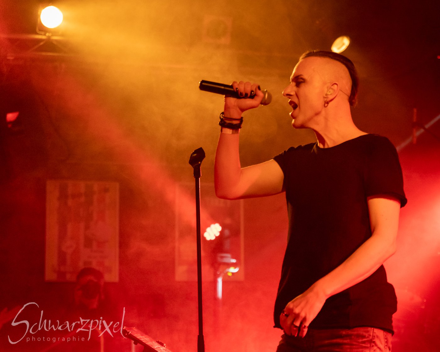 SOLAR FAKE – 1 NIGHT // 2 SHOWS 2021