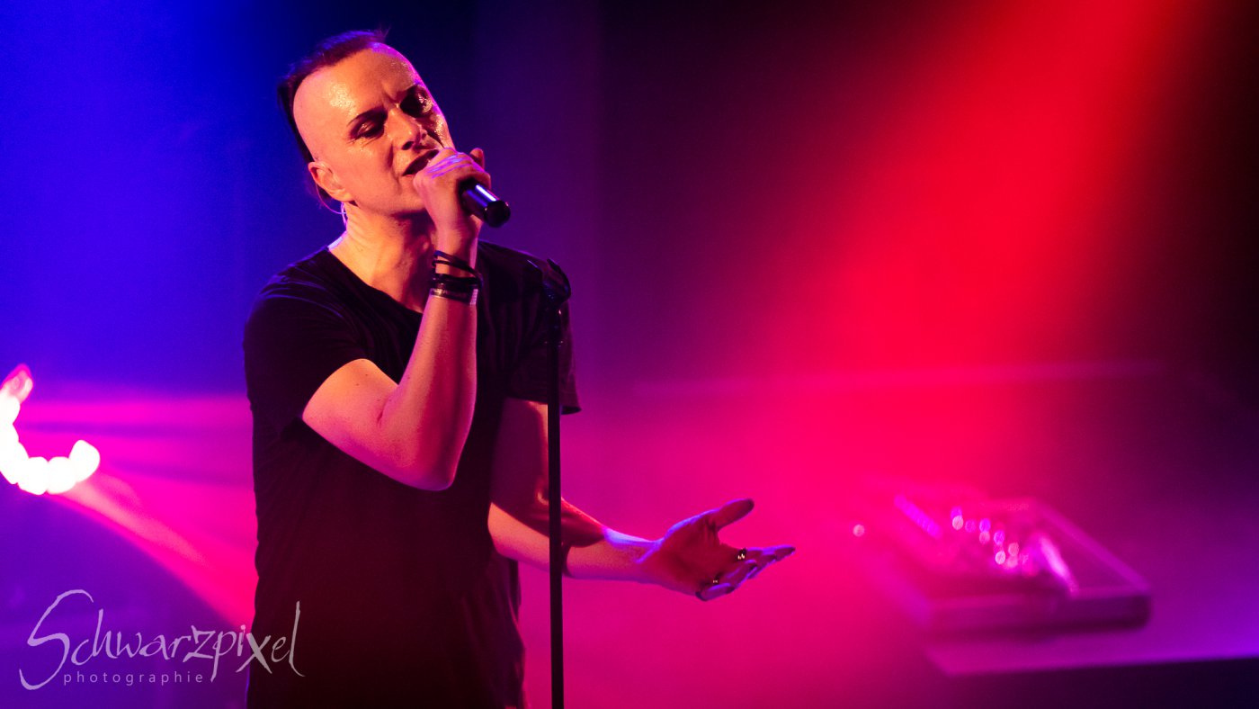SOLAR FAKE – 1 NIGHT // 2 SHOWS 2021