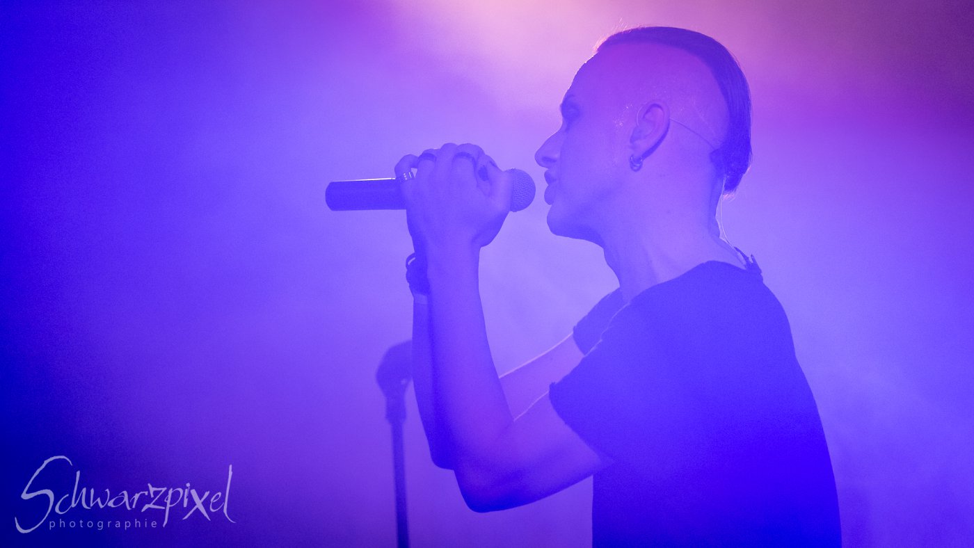 SOLAR FAKE – 1 NIGHT // 2 SHOWS 2021