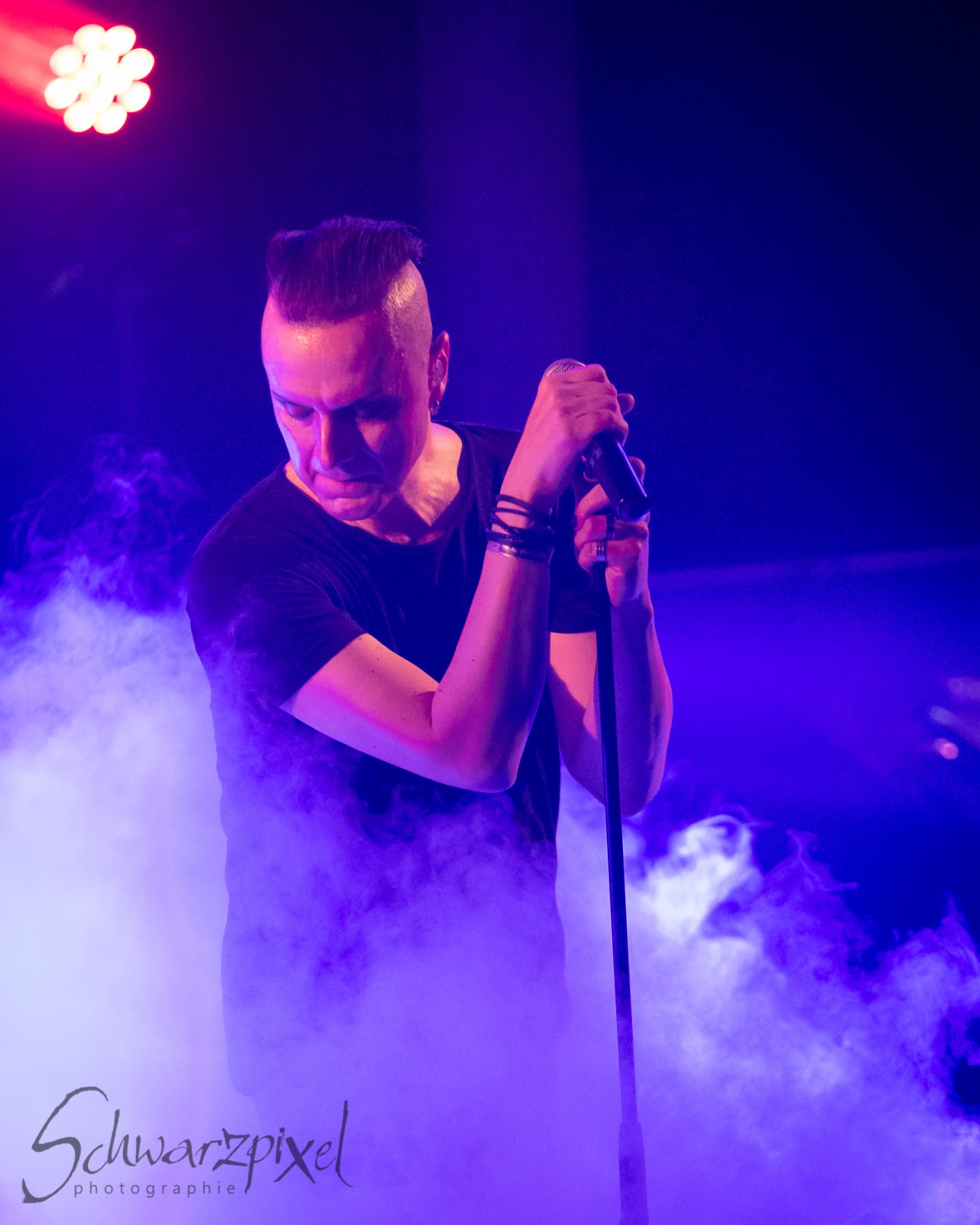 SOLAR FAKE – 1 NIGHT // 2 SHOWS 2021