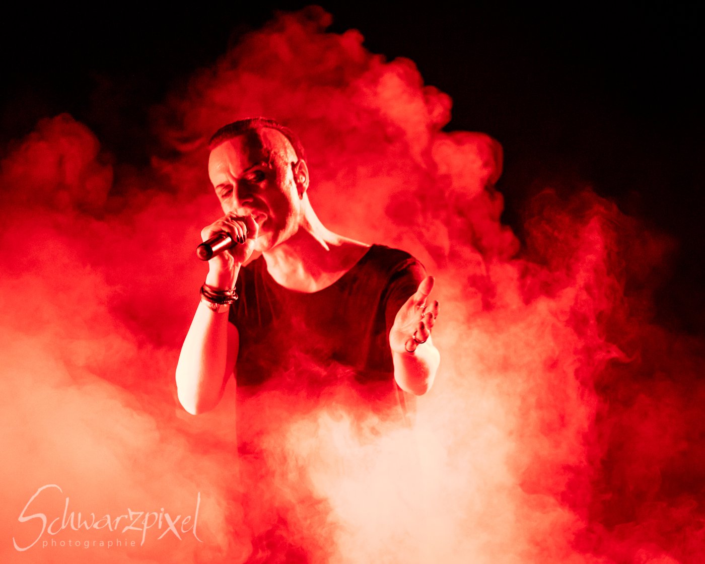 SOLAR FAKE – 1 NIGHT // 2 SHOWS 2021