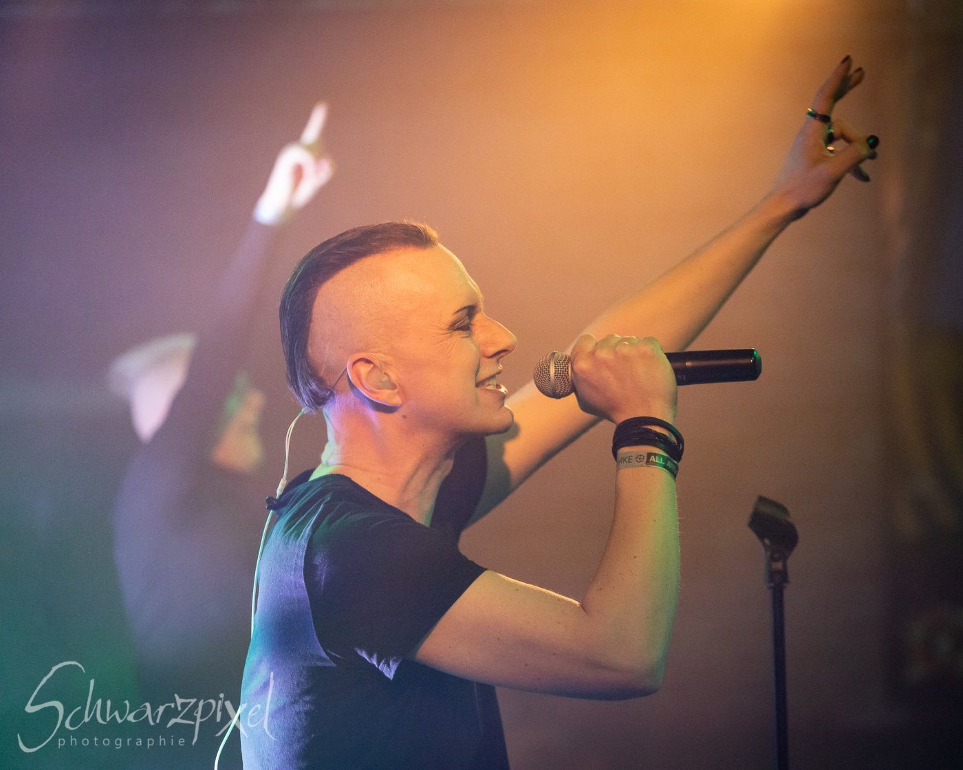 SOLAR FAKE – 1 NIGHT // 2 SHOWS 2021