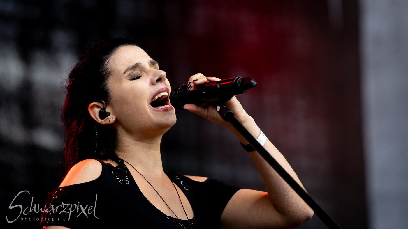 Festival Mediaval XVI