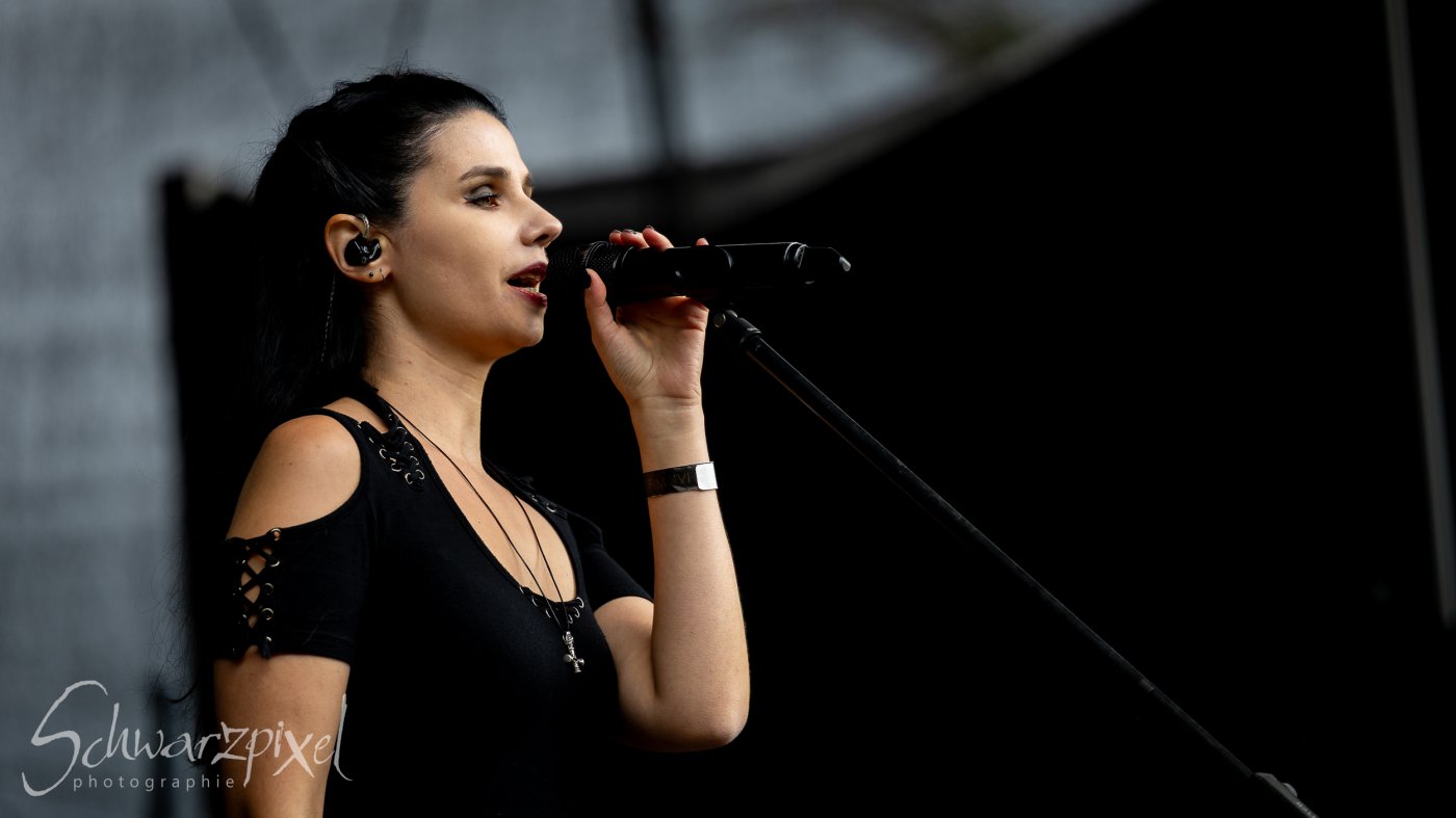 Festival Mediaval XVI