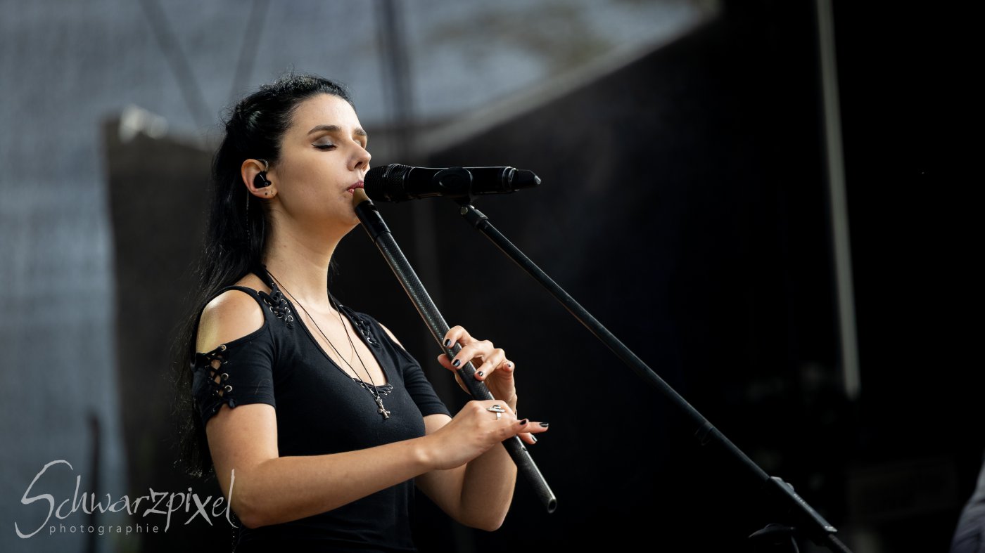 Festival Mediaval XVI