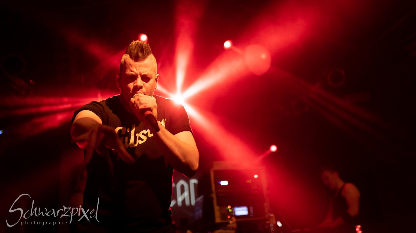 ALIENARE & FADERHEAD 2022
