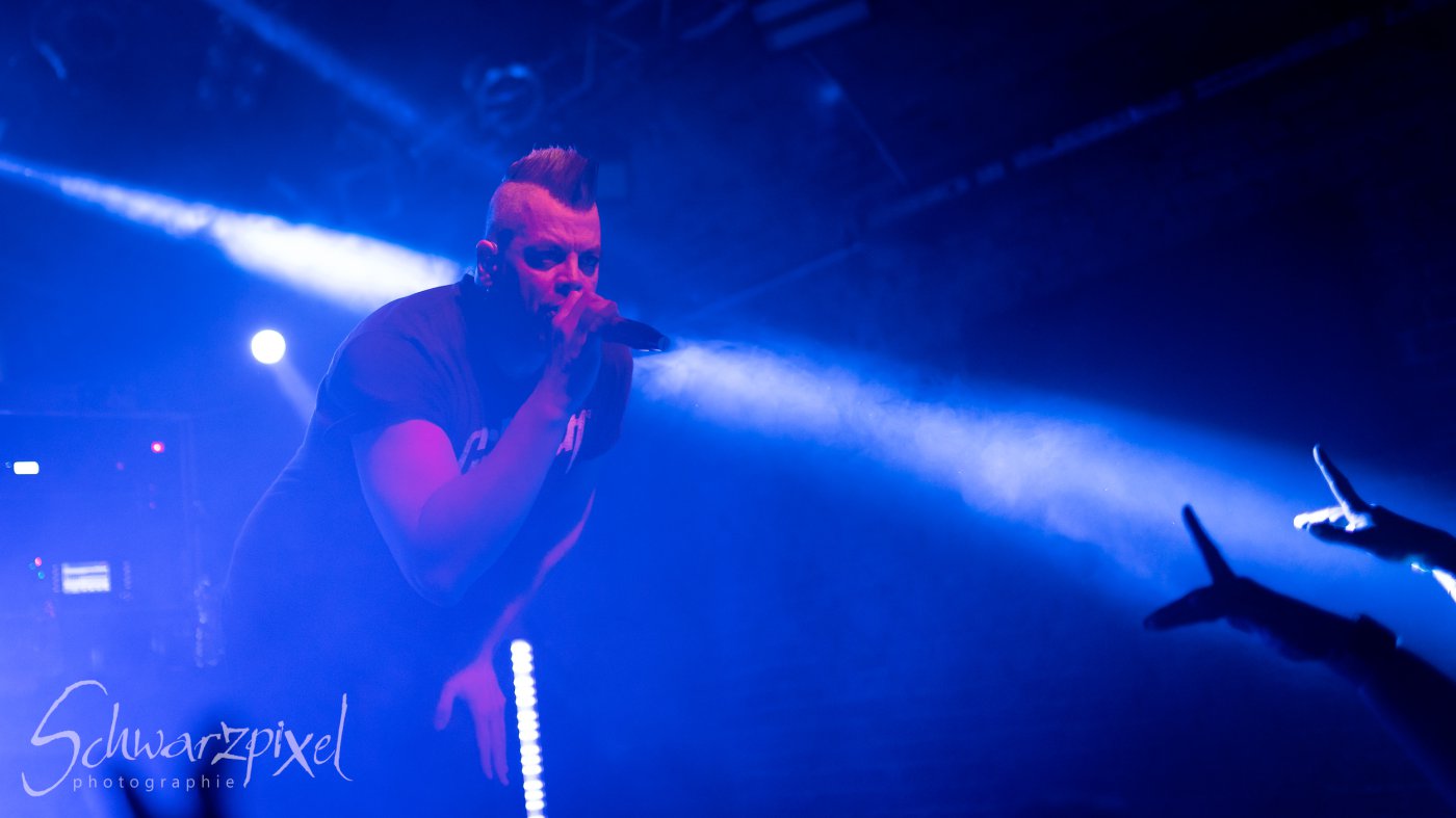ALIENARE & FADERHEAD 2022