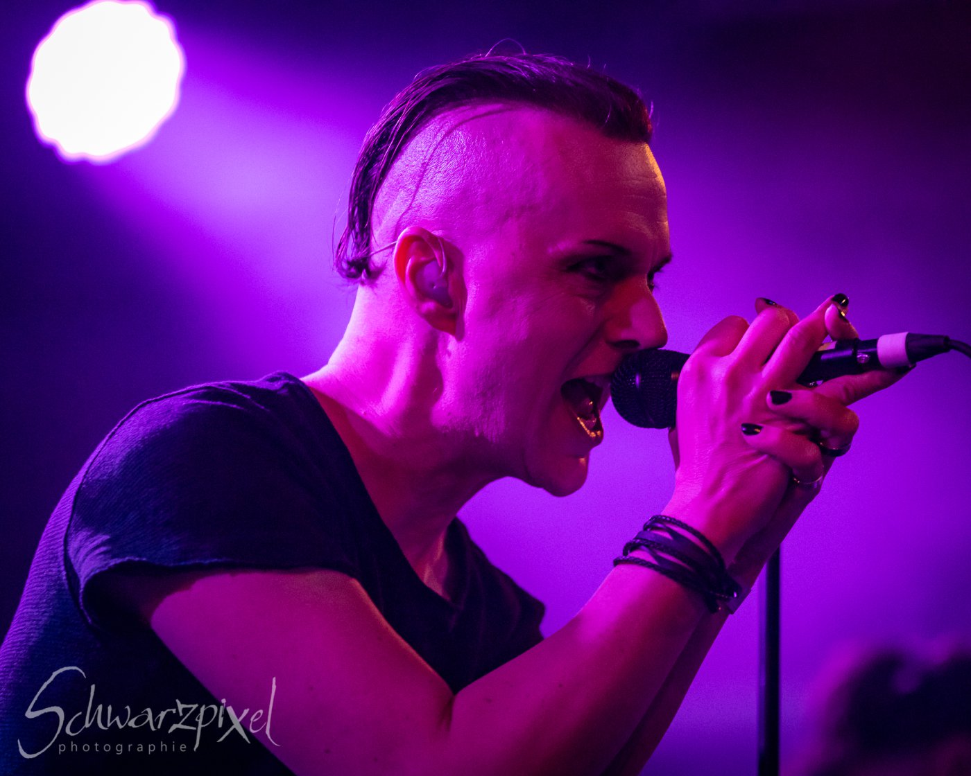ZERAPHINE JUBILÄUMSSHOW – 20 JAHRE
