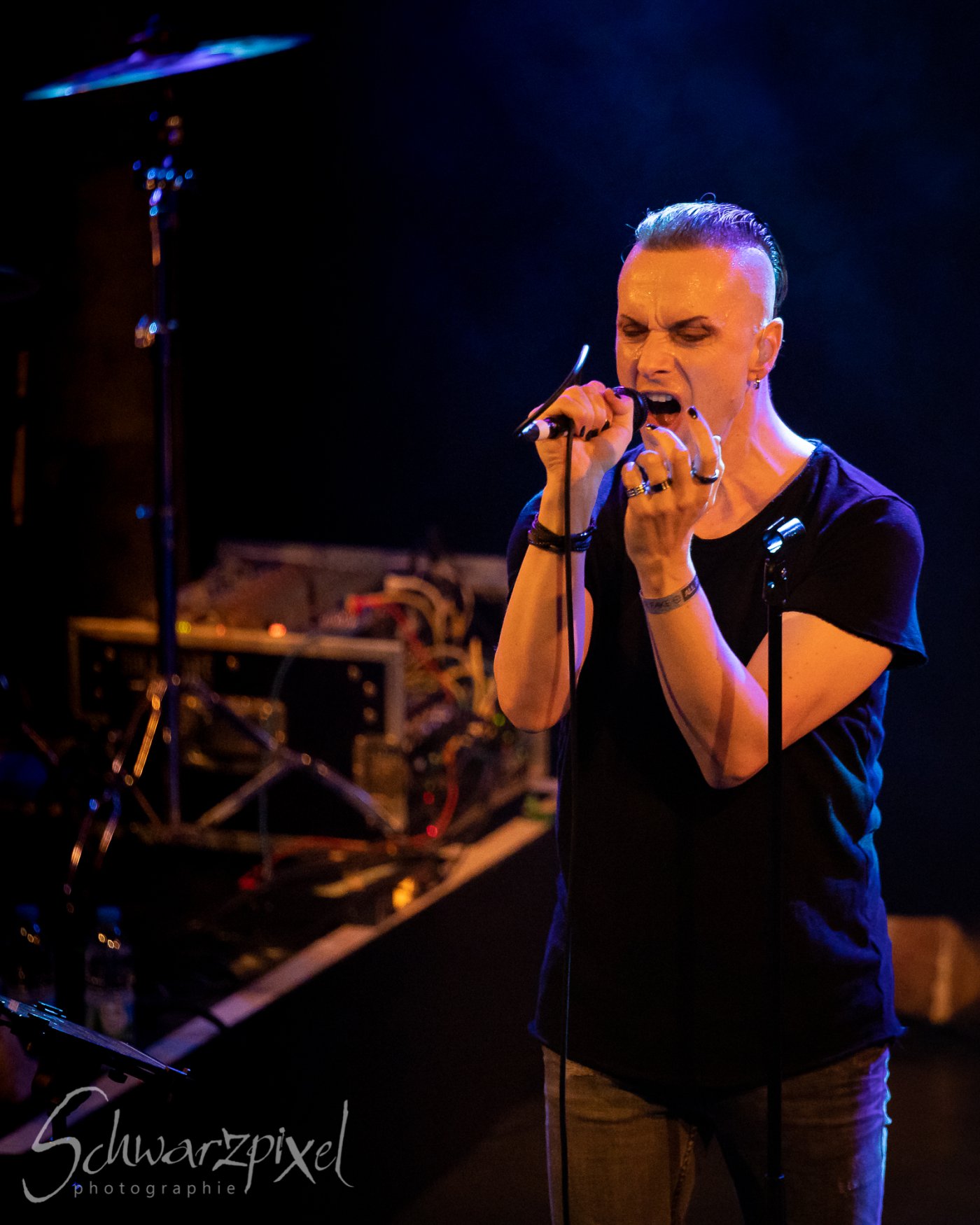 ZERAPHINE JUBILÄUMSSHOW – 20 JAHRE