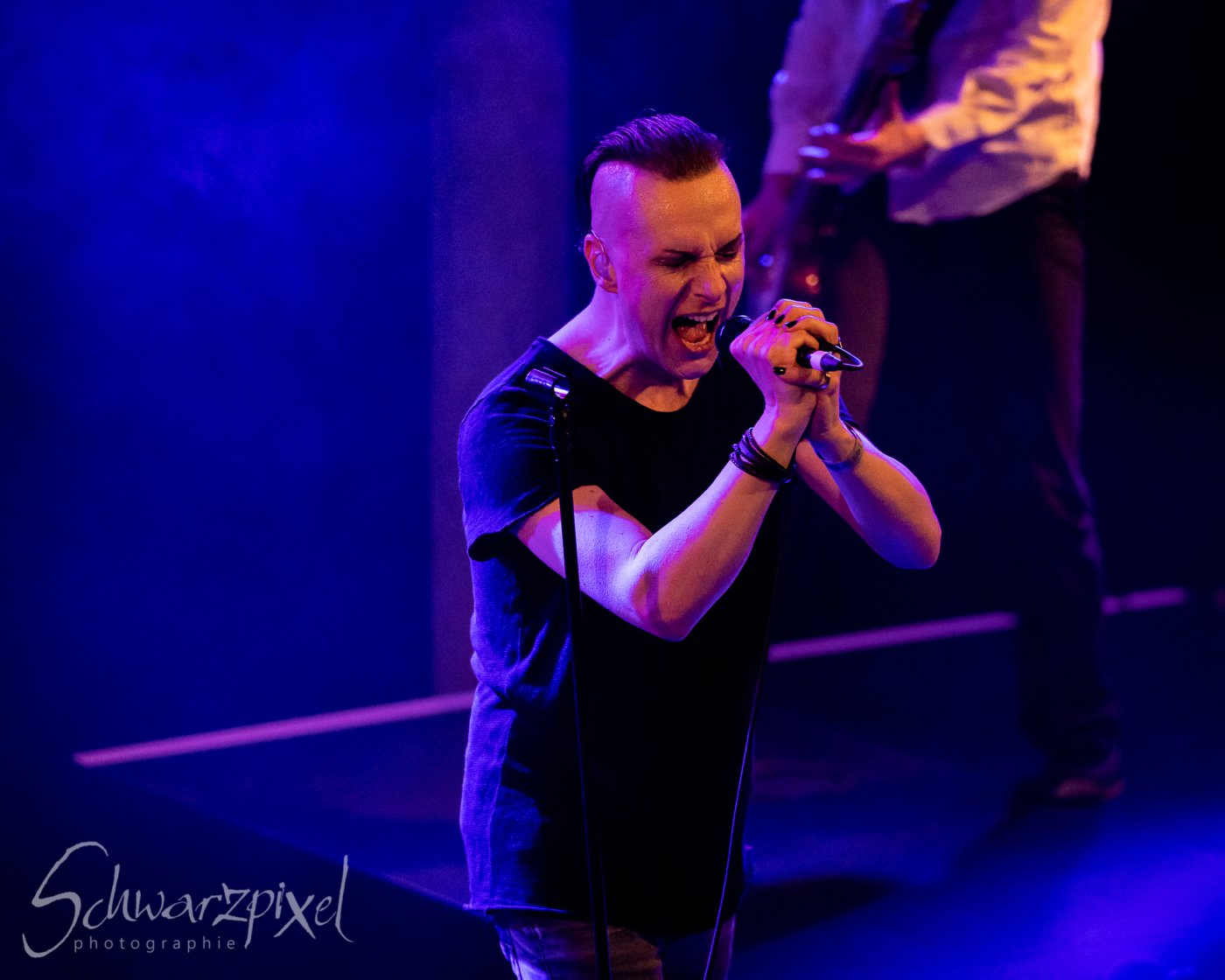 ZERAPHINE JUBILÄUMSSHOW – 20 JAHRE