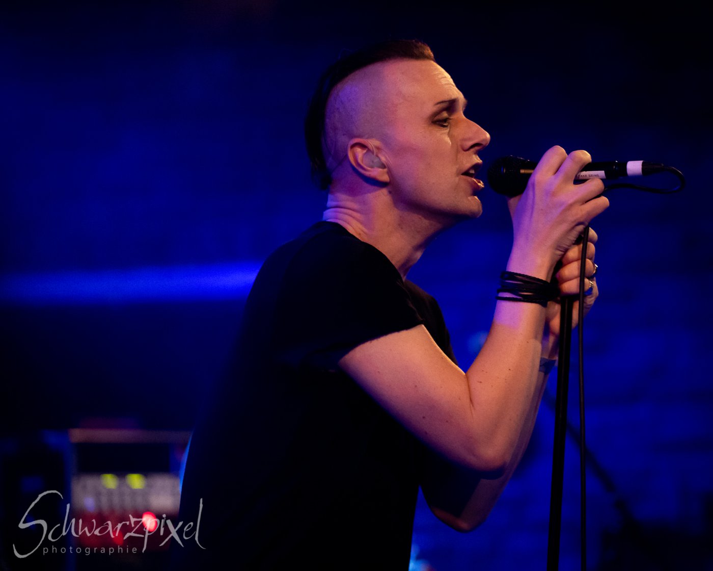 ZERAPHINE JUBILÄUMSSHOW – 20 JAHRE