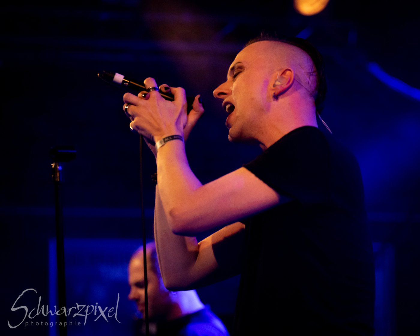 ZERAPHINE JUBILÄUMSSHOW – 20 JAHRE