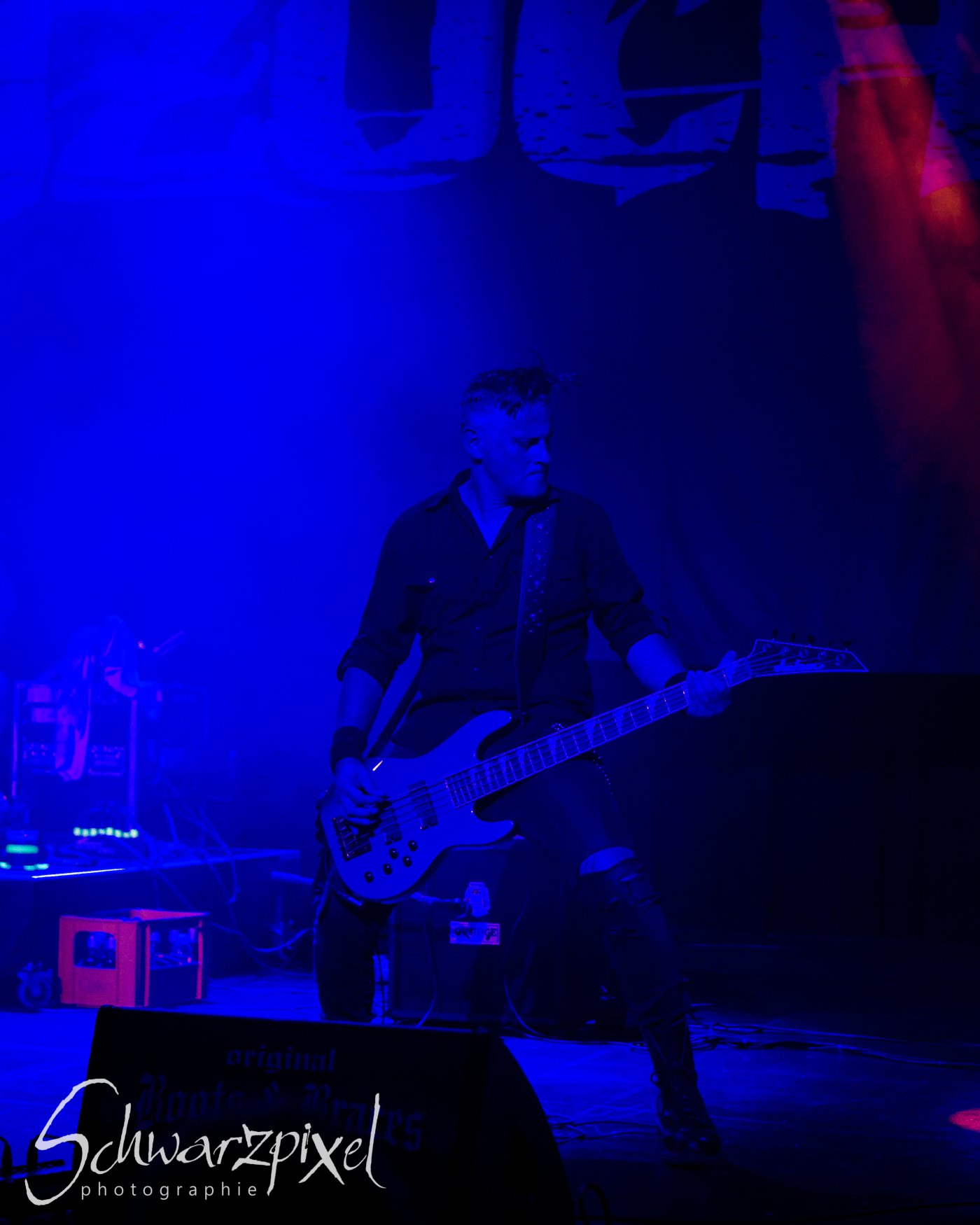 AMPHI FESTIVAL 2019